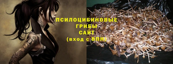 apvp Балабаново